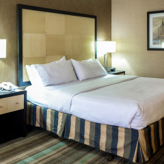 The Watson Hotel комната для гостей