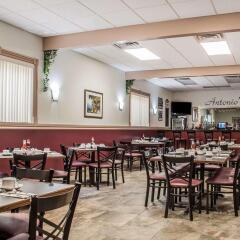 Отель Quality Inn Niagara Falls США, Ниагара-Фолс - отзывы, цены и фото номеров - забронировать отель Quality Inn Niagara Falls онлайн питание