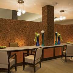 Отель Dreams Suites Golf Resort & Spa Cabo San Lucas - Все включено интерьер отеля фото 2