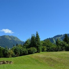 Отель Jacqueline 12 - Two Bedroom Швейцария, Гштад - отзывы, цены и фото номеров - забронировать отель Jacqueline 12 - Two Bedroom онлайн