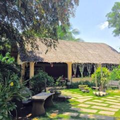 Отель Hibiscus Garden Inn Филиппины, Пуэрто-Принцеса - отзывы, цены и фото номеров - забронировать отель Hibiscus Garden Inn онлайн фото 11