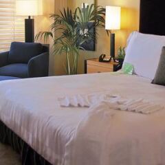 Отель Pacific Palms Resort США, Ла-Пуэнте - отзывы, цены и фото номеров - забронировать отель Pacific Palms Resort онлайн комната для гостей фото 4