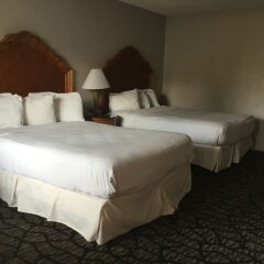 Отель Aviation Inn комната для гостей фото 3