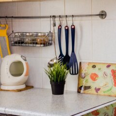 Гостиница Na Suzdalskoj 10/2 Apartments в Москве отзывы, цены и фото номеров - забронировать гостиницу Na Suzdalskoj 10/2 Apartments онлайн Москва фото 2