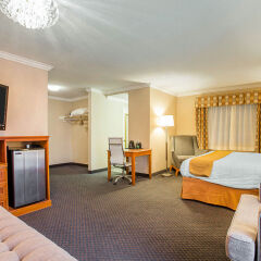 Отель Quality Inn Near Hollywood Walk of Fame США, Лос-Анджелес - 1 отзыв об отеле, цены и фото номеров - забронировать отель Quality Inn Near Hollywood Walk of Fame онлайн сейф в номере