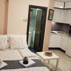 Апартаменты Belgrade EYE Apartment в номере