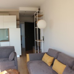 Отель Lake Muse Apartments Албания, Тирана - отзывы, цены и фото номеров - забронировать отель Lake Muse Apartments онлайн комната для гостей фото 5