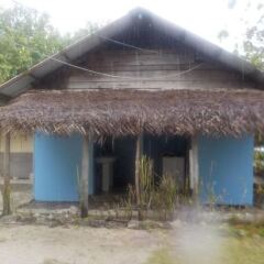 Camping Hiva Plage in Huahine, French Polynesia from 138$, photos, reviews - zenhotels.com photo 4