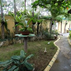 Отель Floral Villarosa Hotel Филиппины, Пуэрто-Принцеса - отзывы, цены и фото номеров - забронировать отель Floral Villarosa Hotel онлайн фото 12