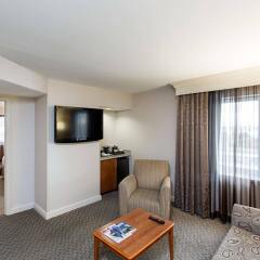 Отель Hilton New York JFK Airport США, Нью-Йорк - отзывы, цены и фото номеров - забронировать отель Hilton New York JFK Airport онлайн комната для гостей