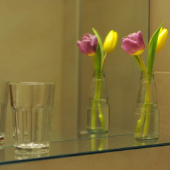 Отель Ambassador Parkhotel Германия, Мюнхен - отзывы, цены и фото номеров - забронировать отель Ambassador Parkhotel онлайн удобства в номере фото 2