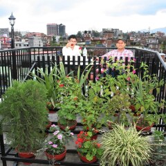 Отель Thamel Backpackers Home Непал, Катманду - отзывы, цены и фото номеров - забронировать отель Thamel Backpackers Home онлайн балкон