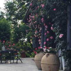 Отель B&B Le Querce Кьюзафорте фото 4