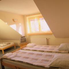 Отель Litinterp Guesthouse Klaipeda Литва, Клайпеда - отзывы, цены и фото номеров - забронировать отель Litinterp Guesthouse Klaipeda онлайн детские мероприятия