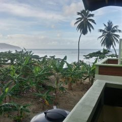 The Nixon's Bay Side Mangrove Inn in Massacre, Dominica from 59$, photos, reviews - zenhotels.com photo 7