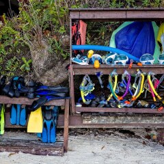 Отель Barrier Beach Resort Вануату, Сараотоу - отзывы, цены и фото номеров - забронировать отель Barrier Beach Resort онлайн фото 14