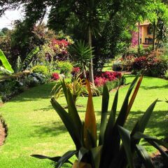 Отель Quinta das Acácias Guest Houses фото 31
