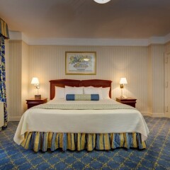 Wellington Hotel 3* Стандартный номер с различными типами кроватей фото 15