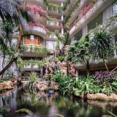 Shangri La Hotel Singapore Сингапур фото 4