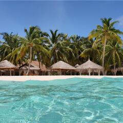Отель Reethi Faru Resort бассейн фото 3