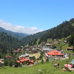 Yaylaci Hotel Турция, Чамлыхемшин - отзывы, цены и фото номеров - забронировать отель Yaylaci Hotel онлайн фото 6