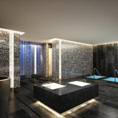 Отель Royal Savoy Lausanne сауна