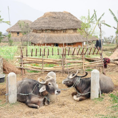 Отель Hananoie-A Permaculture Resort Непал, Лехнат - отзывы, цены и фото номеров - забронировать отель Hananoie-A Permaculture Resort онлайн парковка