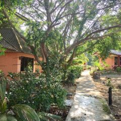 Отель Lamai Chalet Таиланд, Самуи - отзывы, цены и фото номеров - забронировать отель Lamai Chalet онлайн фото 6
