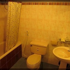 Отель Nguyen Hung Hotel Вьетнам, Далат - отзывы, цены и фото номеров - забронировать отель Nguyen Hung Hotel онлайн ванная фото 2