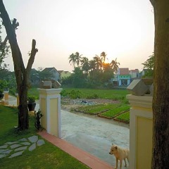 Отель Tea Garden Homestay Хойан фото 20