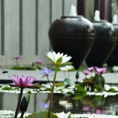 Отель Residence Resort & Spa Retreat пляж Банг-Тао фото 14
