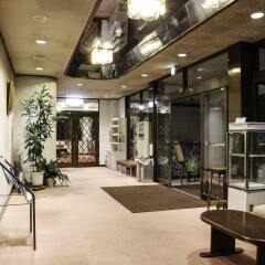 Hakuba Park Hotel Хакуба интерьер отеля