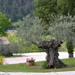 Отель Valle Rosa Country House Сполето с домашними животными