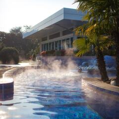 Отель Grand Hotel Terme Италия, Монтегротто-Терме - отзывы, цены и фото номеров - забронировать отель Grand Hotel Terme онлайн бассейн фото 2