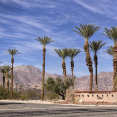 Отель Borrego Springs Resort and Spa фото 12