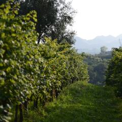 Отель Relais Duca di Dolle Чизон-Ди-Вальмарино приотельная территория