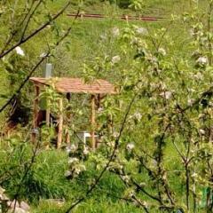 Отель Restland Dilijan Hotel Армения, Дилижан - отзывы, цены и фото номеров - забронировать отель Restland Dilijan Hotel онлайн фото 13