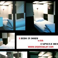 Enjoy Dalat Hostel Далат городской автобус