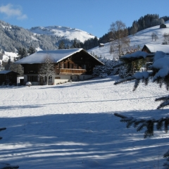 Отель Chalet Nyati спортивное сооружение