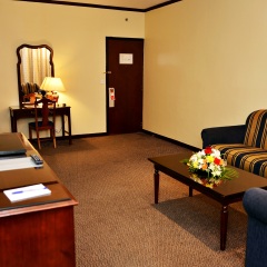 Отель Imperial Suites Hotel ОАЭ, Дубай - отзывы, цены и фото номеров - забронировать отель Imperial Suites Hotel онлайн спа
