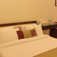 Отель Amrapali Grand Индия, Нью-Дели - отзывы, цены и фото номеров - забронировать отель Amrapali Grand онлайн комната для гостей фото 4
