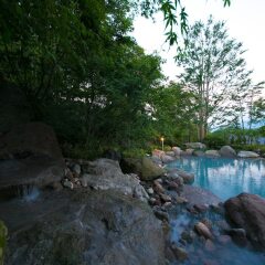 Отель Morinoyu Resort Беппу фото 9