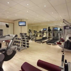 Отель Sheraton Grand London Park Lane Лондон фитнесс-зал фото 4