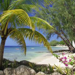Отель Coral Reef Club пляж