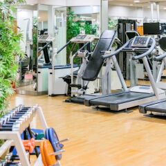 Отель ibis Styles Ambassador Seoul Gangnam Южная Корея, Сеул - 2 отзыва об отеле, цены и фото номеров - забронировать отель ibis Styles Ambassador Seoul Gangnam онлайн фитнесс-зал