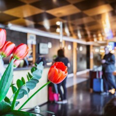 Отель Best Western Plus Hotel Alfa Aeropuerto Испания, Барселона - 12 отзывов об отеле, цены и фото номеров - забронировать отель Best Western Plus Hotel Alfa Aeropuerto онлайн гостиничный бар