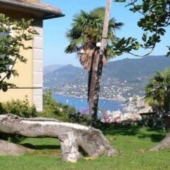Отель Villa Rosmarino Италия, Камогли - отзывы, цены и фото номеров - забронировать отель Villa Rosmarino онлайн с домашними животными