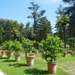 Отель Agriturismo Fattoria Di Gragnone Ареццо фото 13