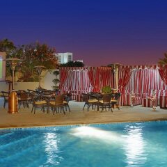 Отель Arabian Park Hotel ОАЭ, Дубай - 1 отзыв об отеле, цены и фото номеров - забронировать отель Arabian Park Hotel онлайн бассейн