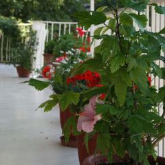 Hotel Risorgimento Кьянчиано Терме фото 20